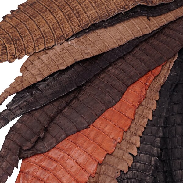 leather crocodile skin