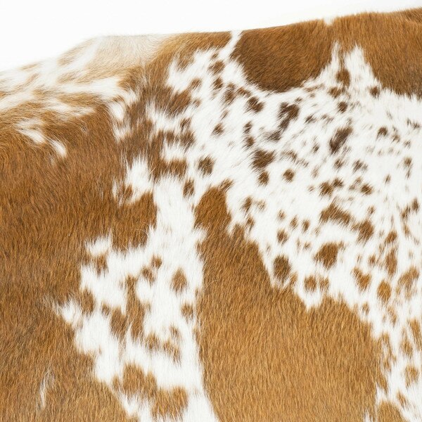 RWSR.SLC.02.jpg Red & White Speckled Cowhide Rugs Image
