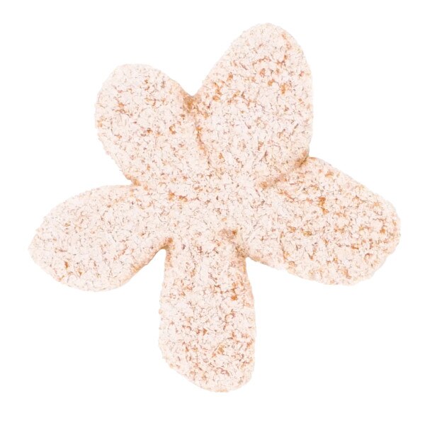 SHP034.SLC.2.jpg Camp & Craft Shape - Daisy Mini Image