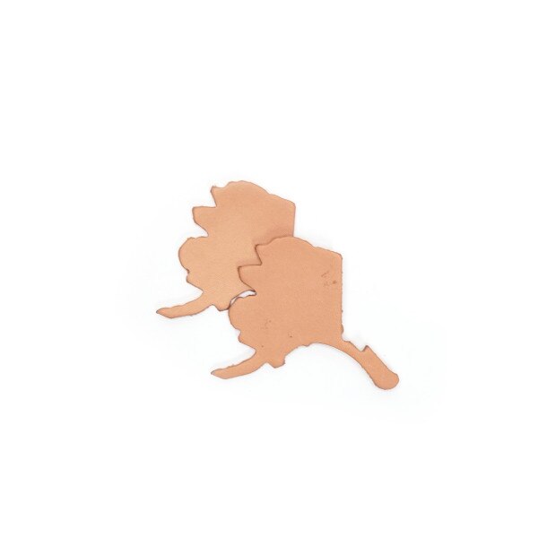 SHPAK.SLC.02.jpg State Shape - Alaska Image