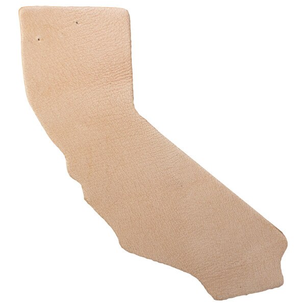 SHPCA.SLC.1.jpg State Shape - California Image