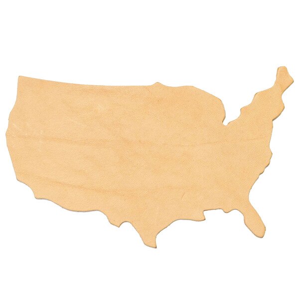 SHPUSA.SLC.01.jpg United States Shape Image
