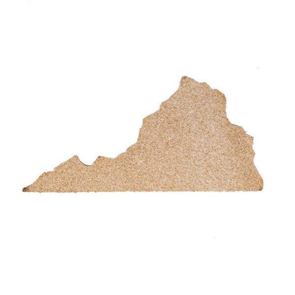 SHPVIR.SLC.03.jpg State Shape - Virginia Image